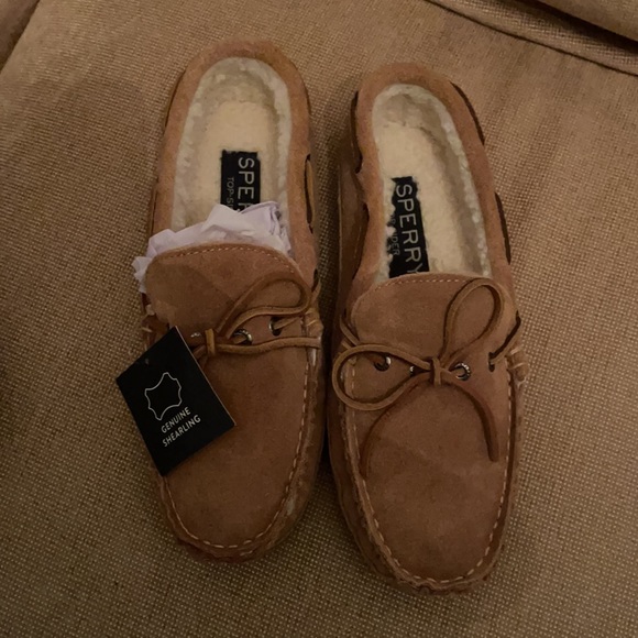 Sperry Top siders - Picture 1 of 5